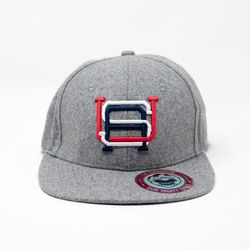 USA Snapback (Brand New)