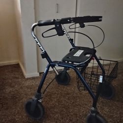 Walker With Back Support 