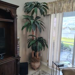 8' palm tree