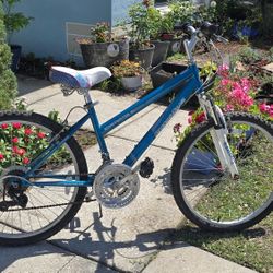 Roadmaster 24"  Granite Peak Mountain Bike