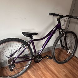 29in Trek Mountain Bike