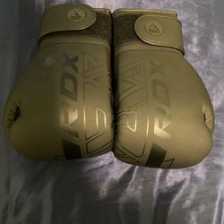 Mixed martial arts gear
