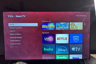 48 in Roku tv