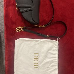 Dior Saddle Bag