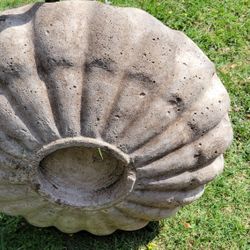 Fountain Water Vessel Bird Bath Bird Feeder Scallop Shell Concreate 