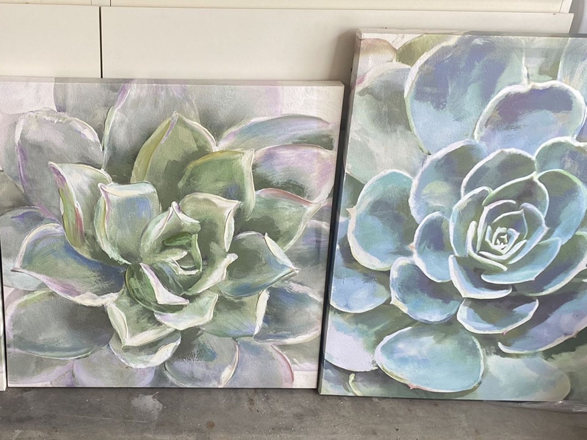 Succulent Canvas Paintings