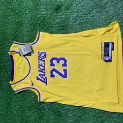 (Men small)Nike Lakers lebron James jersey  Dri-FIT Swingman Icon Jerseye 