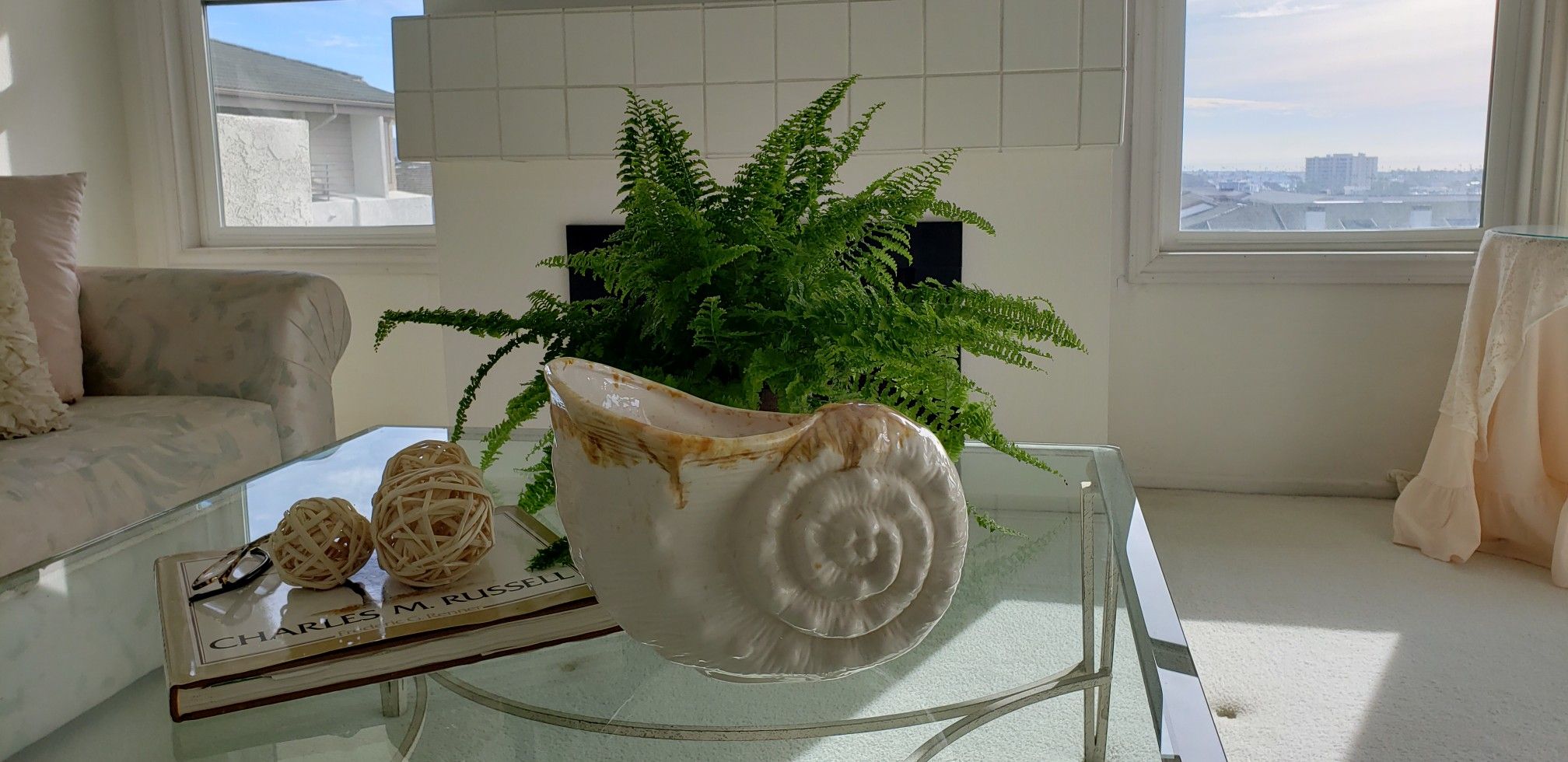 Super large, cool plant or ceramic pot/dish.