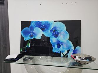 Wall Glass Decor