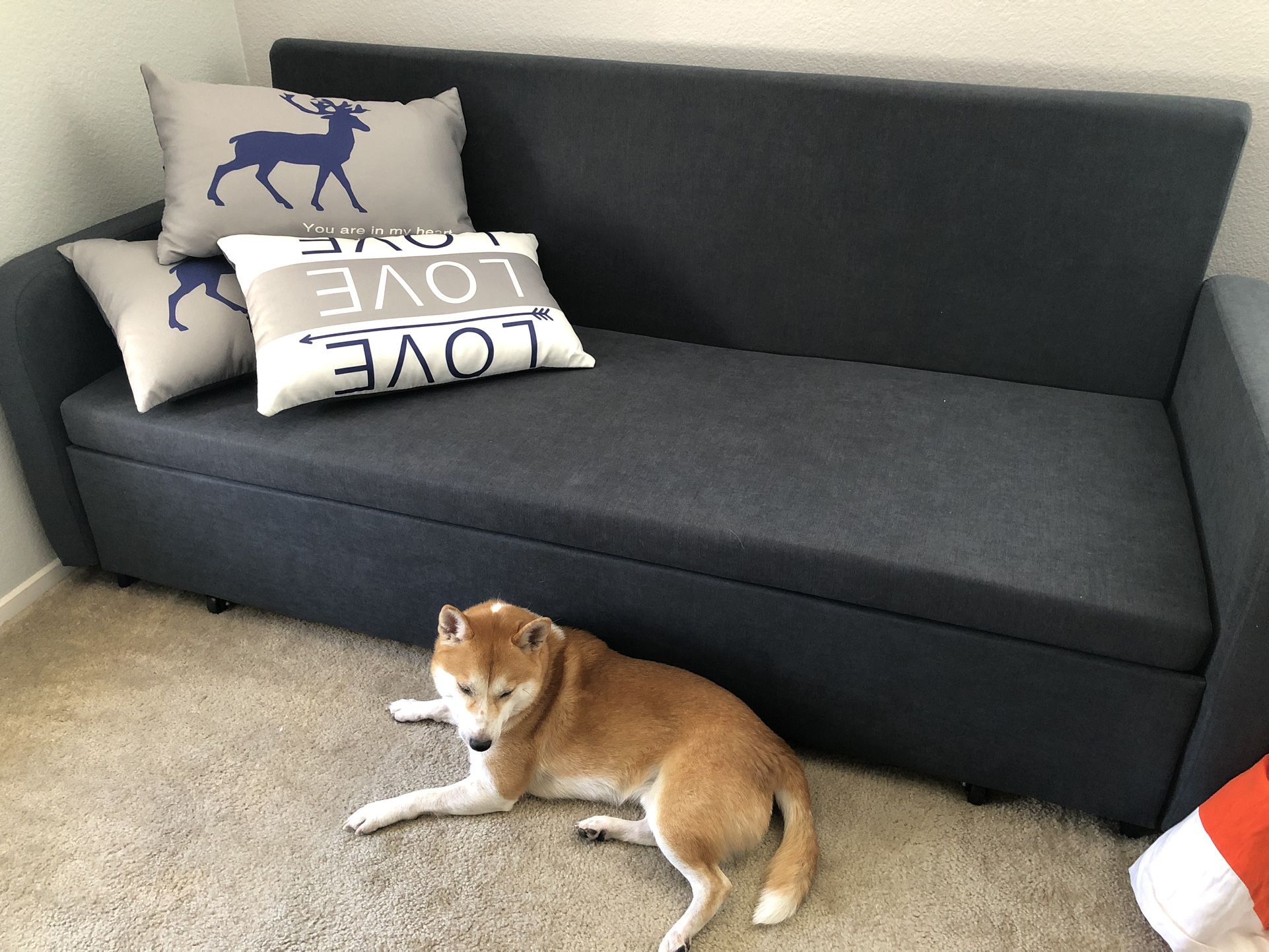 Full Sleeper Sofa