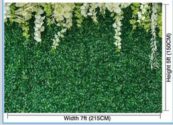 Backdrops