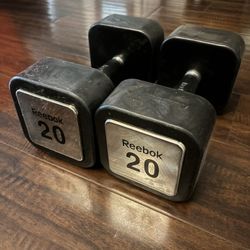 20 Lb Dumbbells 