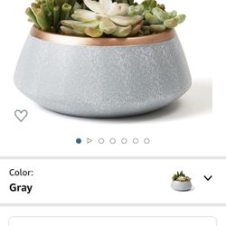 Large Succulent Planter Pots - Ceramic Indoor Outdoor Garden Pot with Drainage for Plant Flower, 8 Inch, Gray