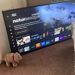 Tv Vizio 55 Inches Works!