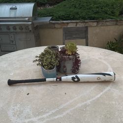 31inch/28ounce/drop3 demarini x14 alloy voodoo
