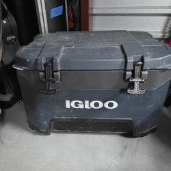 Cooler  Igloo
