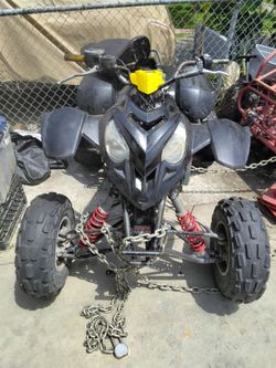 Polaris predator
