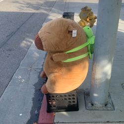 gigantic capybara for sale :) 