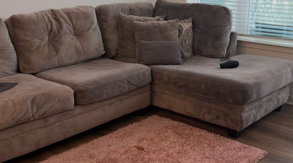 Big Comfy L shaped Gray Couch