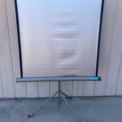 Vintage Radiant Super Champion II Silver Projection Screen