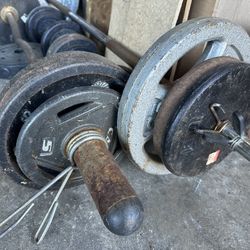 Weight Set and Bench
