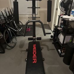 Work Out Bench