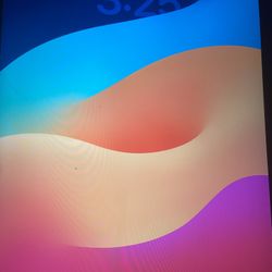 iPad 