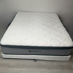 Free queen mattress and box spring !