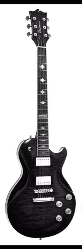 Palmer Crossbow limited series Electric guitar