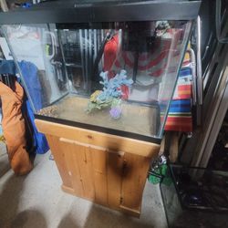 20 Gallon Fish Tank And Stand