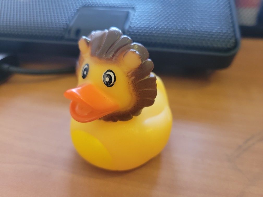 Rubber Duck With Maine 