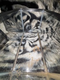 10 Gallon Reptile/Fish Tank
