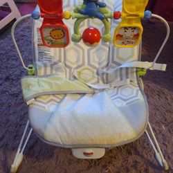 Baby Bouncer