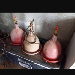 Chicken Feeder And Waters