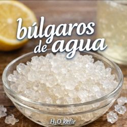 Tibicos / Bulgaros De Agua , Water Kefir . Cultivos Vivos . Live Colonies