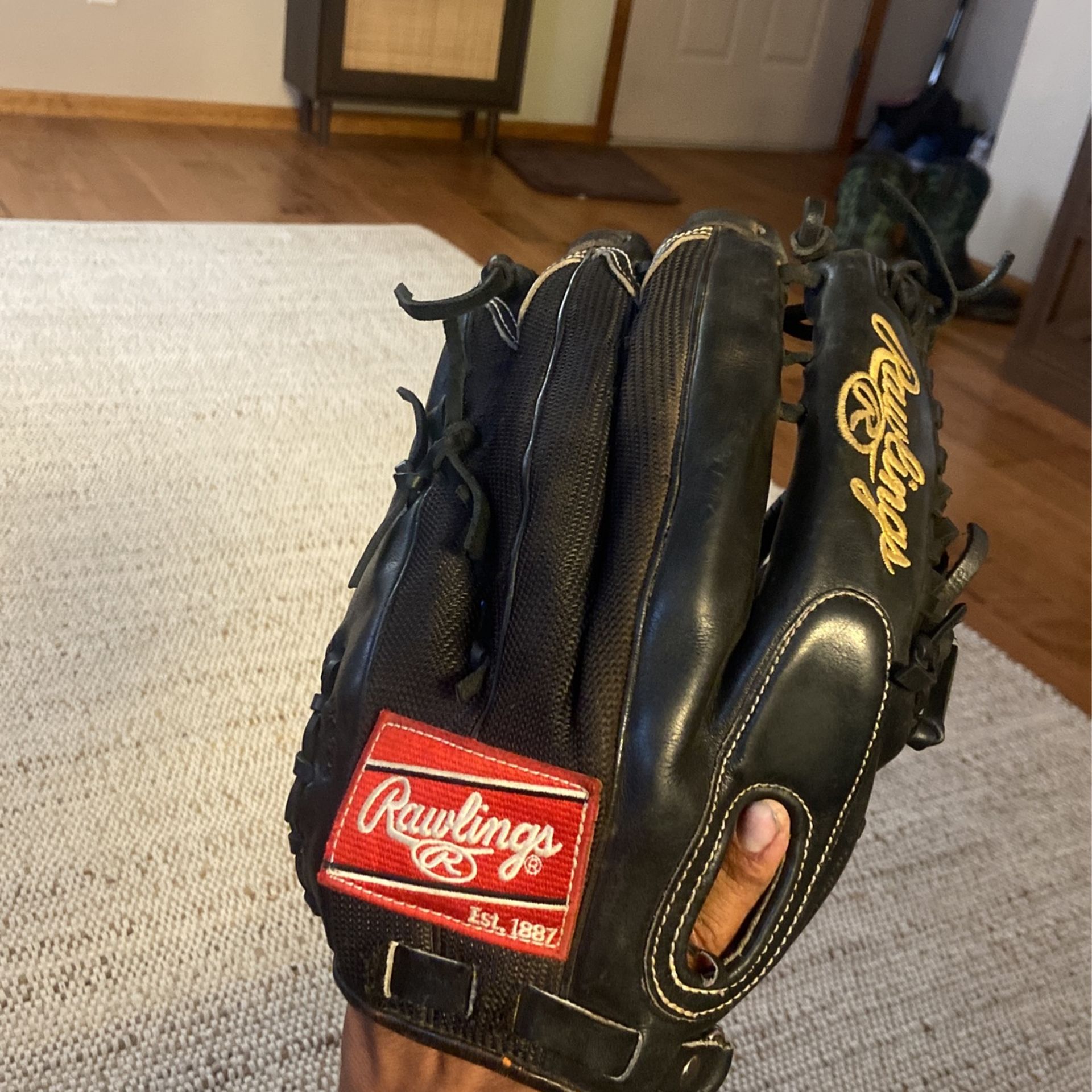 Out Field Glove