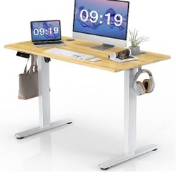 Electric Standing Desk 
