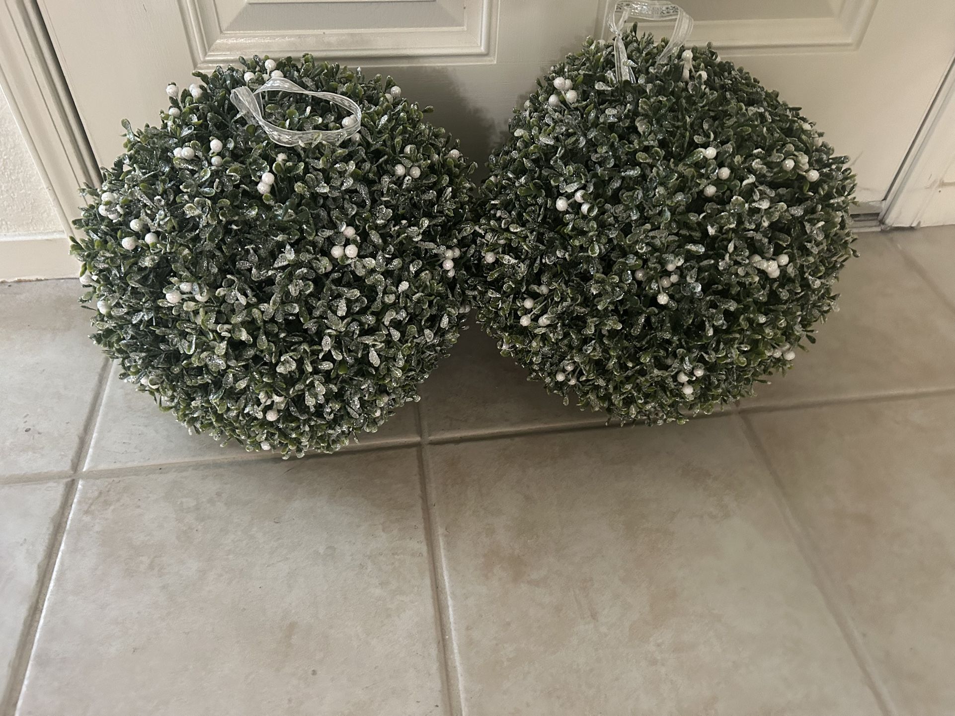 Boxwood Topiaries