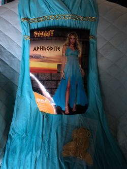 Halloween costume