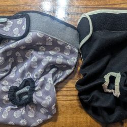 Dog Diapers, Medium