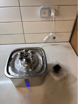 Cats fountain