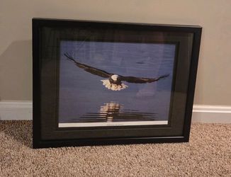 Framed Eagle Photograph