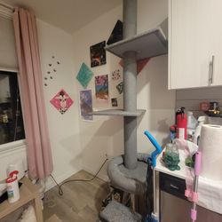FREE-Floor To Ceiling Cat Tree