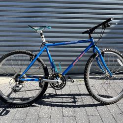 18.5 Inch Specialized Rock Hopper