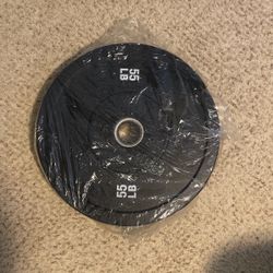 Bumper Weight Plate