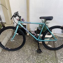 Vintage Specialized Rock Hopper Turquoise 
