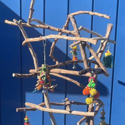 African Grey - Amazon Parrot Perch Tree…  Curvy n Funky… Breeder Direct low Prices ! Lots Of Birdee Fun 👍🏼