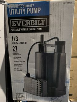 Everbilt 1/3 HP Utility Pump Automatic