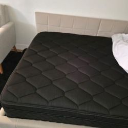 Full Daybed With Mattress 