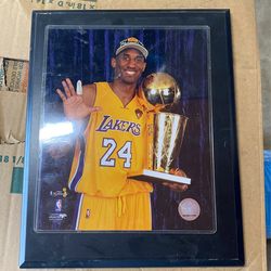 Kobe Frame Picture